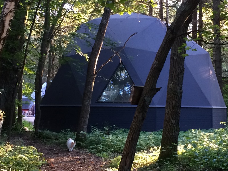 A dark blue dome in the woods with a single triangle skylight. A plump cat in in the foreground.