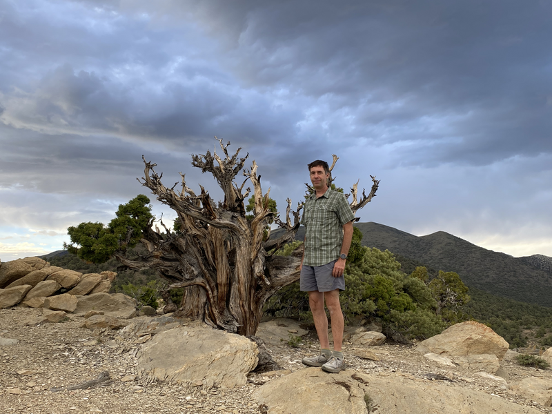 A man in front of an old dead? tree